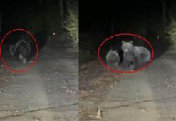 Orman yolunda otomobilin önüne çıkan yavru ile anne ayı kamerada
