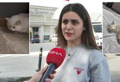 Veteriner kliniğinde ihmal iddiası; ölen kedisini polis eşliğinde teslim alıp otopsiye gönderdi