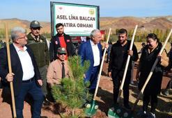 Selde ölen Asel bebeğin ismi ormana verildi; ilk fidanı annesi dikti