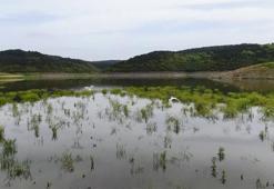 İstanbul'da barajlardaki doluluk oranı yükselişe geçti