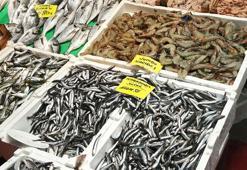 Prof. Dr. Saadet Karakulak: Ya elek sistemi yasaklanacak ya balıkçılık durdurulacak