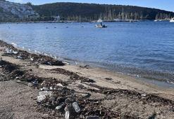 Bodrum'da sağanak sonrası sahillerde kirlilik