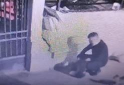 Fatih'te çantasına kedi koyarak giden şüphelinin evinde 8 ölü kedi bulundu