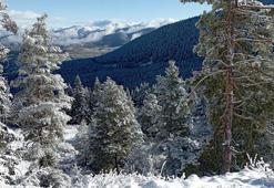 Sivas'ın yüksek kesimlerine kar yağdı