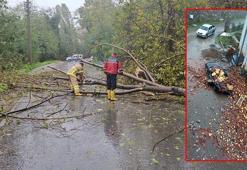Zonguldak'ta sağanak ve fırtına; gemi karaya oturdu, cezaevi boşaltılıyor