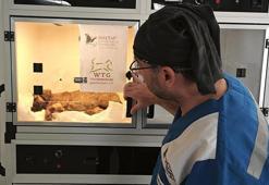 Altına girdiği otomobilin başını ezdiği yavru köpek, görme yetisini kaybetti