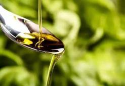 Sahte zeytinyağı uyarısı