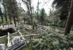 Zonguldak'taki fırtınada devrilen ağaçlar nedeniyle 300 mezar hasar gördü