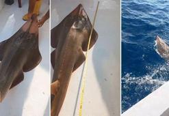 Koruma altındaki 'insan yüzlü' balık, denize geri bırakıldı