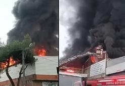 Bursa'da sünger imalathanesi ve deposunda yangın