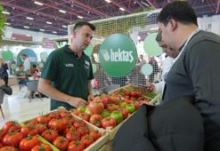HEKTAŞ’ın yerli sebze tohumları Growtech Fuarı’nda tanıtıldı