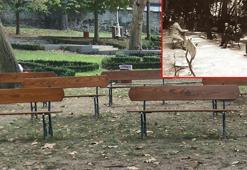 O kare 95 yıl sonra Gülhane Parkı'nda