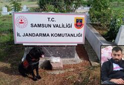 'Etkin pişmanlık’ için dedesinin kabrine uyuşturucu sakladığını itiraf eden sanığa 15 yıl hapis