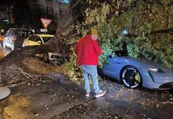 Ankara'da kuvvetli rüzgarda devrilen ağaç, otomobilin üzerine düştü