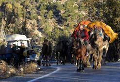 Sarıkeçili Yörüklerinin develi 'kış yurdu' yolculuğu