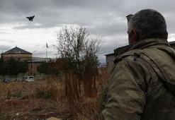 Taklacı güvercinler yarıştı