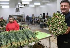 Antalya'dan Avrupa'ya 20 milyon dolarlık Noel çiçeği