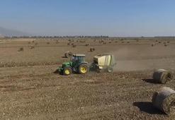 Prof. Dr. Azbar: Anız yakmak deste deste parayı yakmak demektir