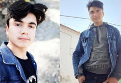 Kozalak toplamak için çıktığı ağaçta, elektrik akımına kapılıp öldü