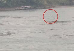 Dicle Nehri'ne atlayan kız kardeşlerden Zilan'ın kurtarılma anı kamerada