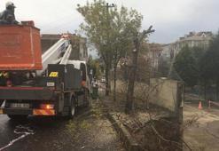 Yağmur sırasında okul bahçesinin istinat duvarı yıkıldı