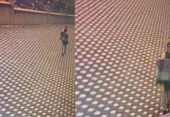 Evdeki çelik kasayı çalıp, kucağında taşıdı