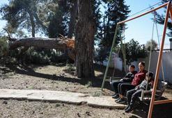 Otizmli çocuklar, fırtınada zarar gören 'yuva'larını onarıyor