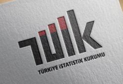 TÜİK: Kültür harcamaları yüzde 88,1 arttı