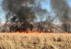 Nehil Sazlığı'nda yangın