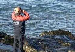 Odun toplamaya gittiği sahilde kaybolan kadını arama çalışmalarında 6'ncı gün