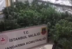 Eyüpsultan’da uyuşturucu serasına çevrilen villaya baskın