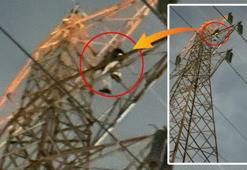 Küçükçekmece'de 50 metrelik elektrik direğine çıkıp kendini ihbar etti