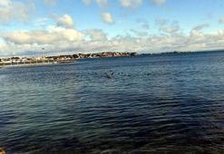 'Marmara Denizi'nde su sıcaklığı 50 yılda 2,5 derece arttı'