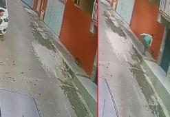 İzmir'de, sokak kedisine keserli saldırı kamerada