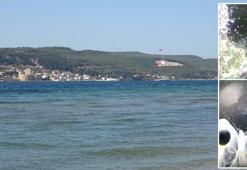 Doç. Dr. Yılmaz: Müsilaj, balık popülasyonunu tehdit ediyor