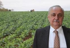 Prof. Dr. Demir: Yağış rejimi kış sebzelerinin verimini de etkiliyor