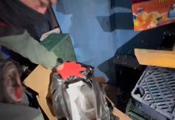 Manavda, sebze ve meyve kasalarının altına gizlenen 15 kilo esrarı 'Larissa' buldu