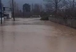 Düzce'de sağanak; dereler taştı, evleri su bastı