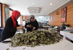 Atatürk Orman Çiftliği'nden kadın kooperatifleri ve üretici birliklerine destek