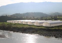 Terörden kurtulan Derecik, seracılığın merkezi oluyor