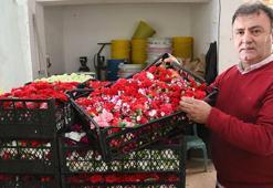 Kişi başı yıllık çiçek tüketimi Avrupa'da 100, Türkiye'de 3 euro