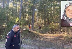 Mantar toplamak için gittiği ormanda kaybolan kadın, ölü bulundu