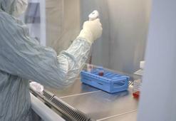 “Kök hücre uygulamasıyla insülin ihtiyacı büyük oranda ortadan kalkıyor”