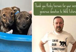 Ünlü komedyenin hayvan derneklerine bağışı rekor kırdı