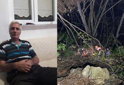 Ağaç keserken düşen kaya çarptı, uçuruma yuvarlanıp öldü