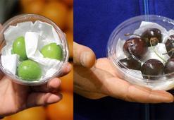 Kayseri'de yaz meyvesi erik ve kirazın fiyatı, çeyrek altın ile yarışıyor