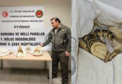 Kapıkule’de otomobilde 33 piton ele geçirildi