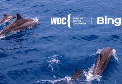 BingX Yardım Kuruluşu’ndan, ‘Balina ve Yunusları Koruma’ ile iş birliği