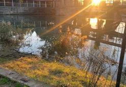 Pikniğe giden ailenin bulunduğu hafif ticari araç göle düştü: 7 yaralı