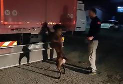 'Tiryaki' ile aramada 300 bin paket kaçak sigara ele geçirildi